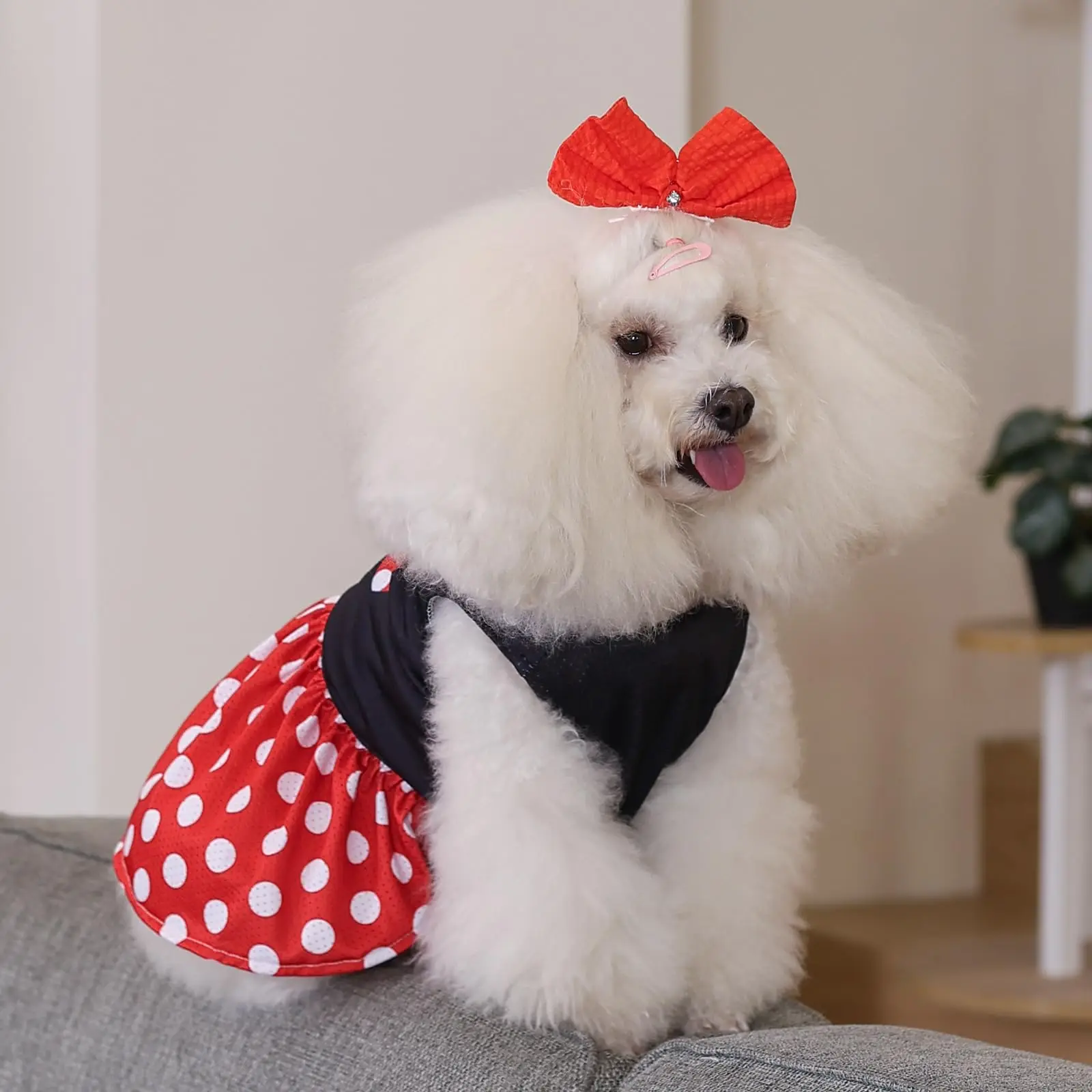 CuteBone Dog Mesh Dress Puppy Sundress Pet Outfit Summer Fashion for Small Dogs Girl Dog Dress Fashion Pet Clothes