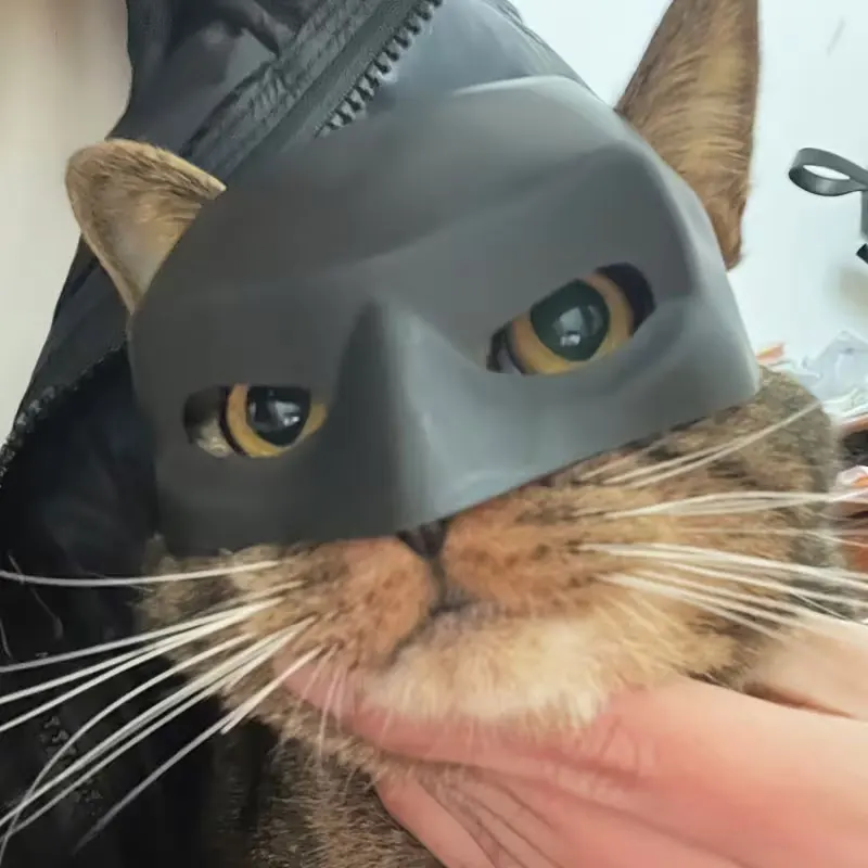 Funny Prank Black Bat/White Style Pet Cat Photo Mask Party Pet Supplies