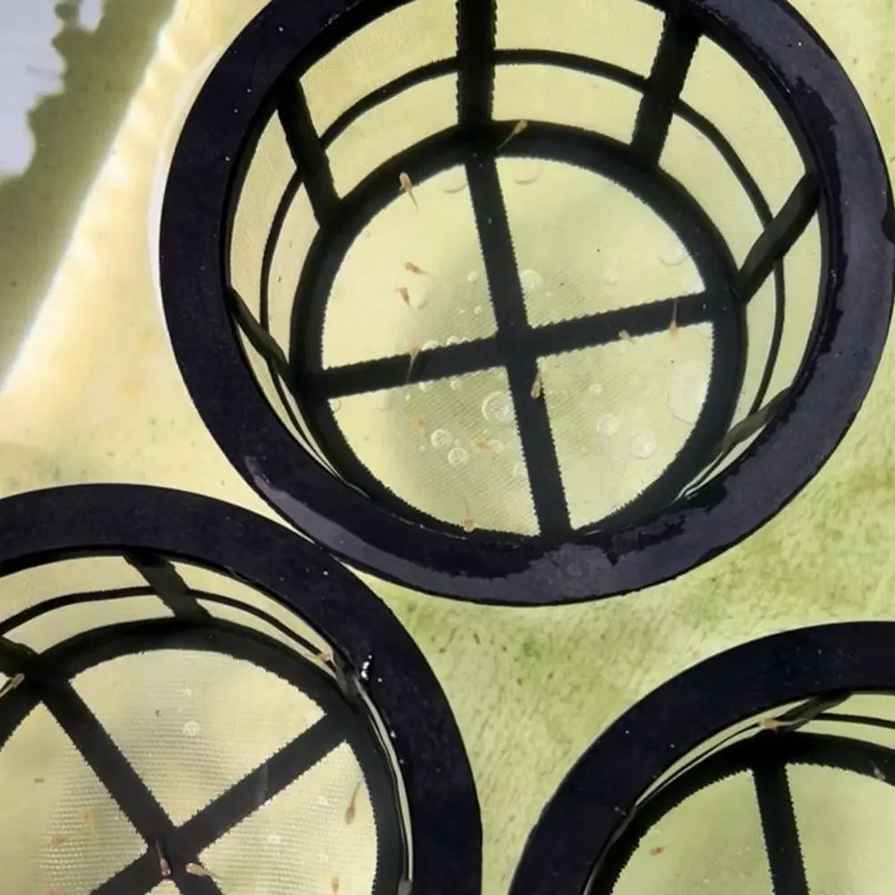Floating Fish Fry Cage Large Capacity Reusable Aquarium Filters Fish Fry Isolation Box