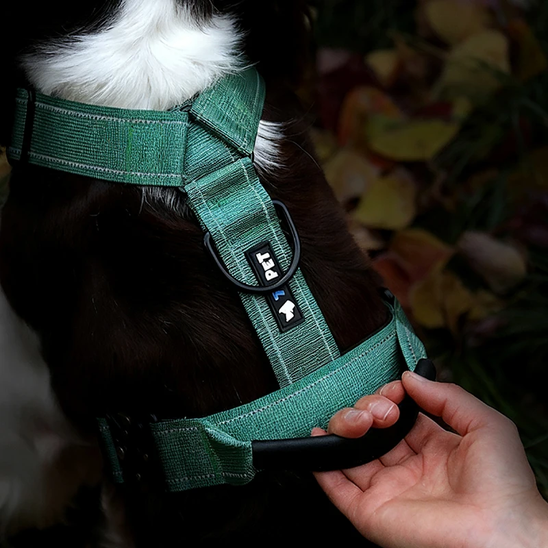 Y-Shaped Dog Harness with Soft Padding, Metal Buckles and Leather Handle Adjustable No Pull Pet Harness for Dogs
