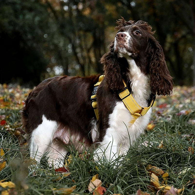 Y-Shaped Dog Harness with Soft Padding, Metal Buckles and Leather Handle Adjustable No Pull Pet Harness for Dogs