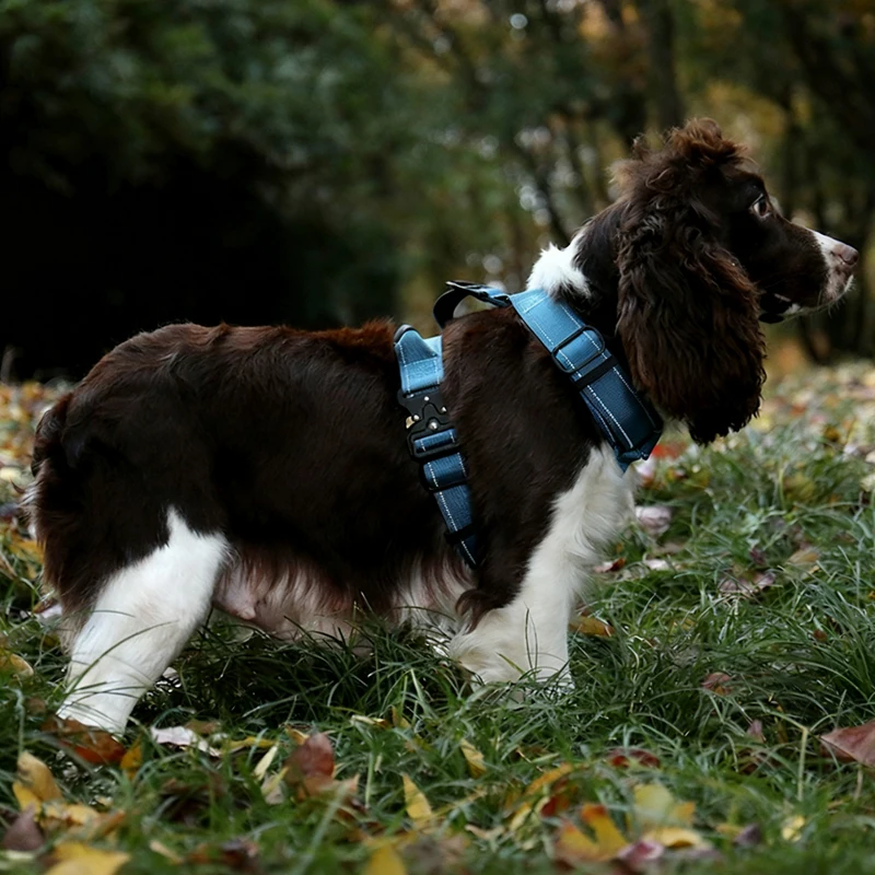 Y-Shaped Dog Harness with Soft Padding, Metal Buckles and Leather Handle Adjustable No Pull Pet Harness for Dogs