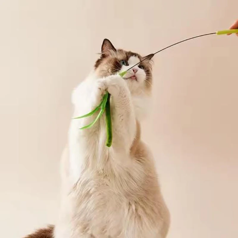 Kimpets Cat Dog Tail Grass Dog Sage Feather Long Pole Cat Teasing Stick Bite Resistant Self Soothing Tool Cat Toy Pet Supplies