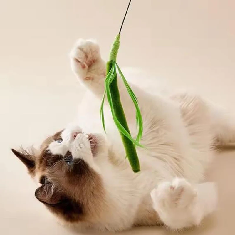 Kimpets Cat Dog Tail Grass Dog Sage Feather Long Pole Cat Teasing Stick Bite Resistant Self Soothing Tool Cat Toy Pet Supplies