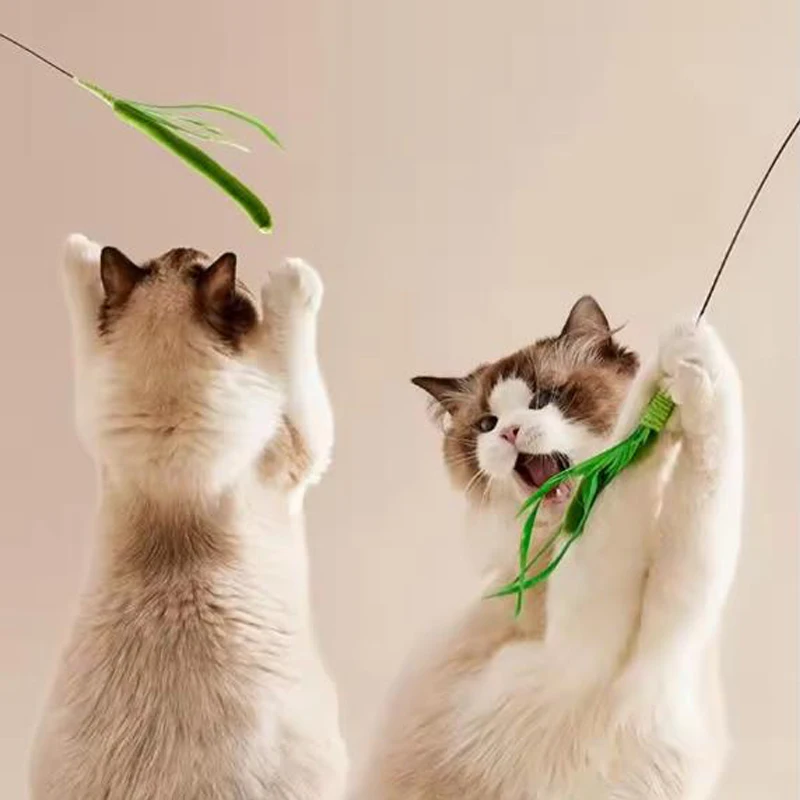 Kimpets Cat Dog Tail Grass Dog Sage Feather Long Pole Cat Teasing Stick Bite Resistant Self Soothing Tool Cat Toy Pet Supplies