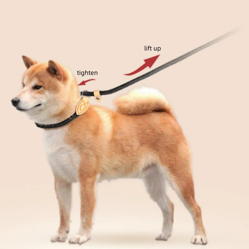 Heavy Duty Dog Leash Slip Rope Lead Adjustable Braided Loop Collar Training Leash for Small to Medium Dogs