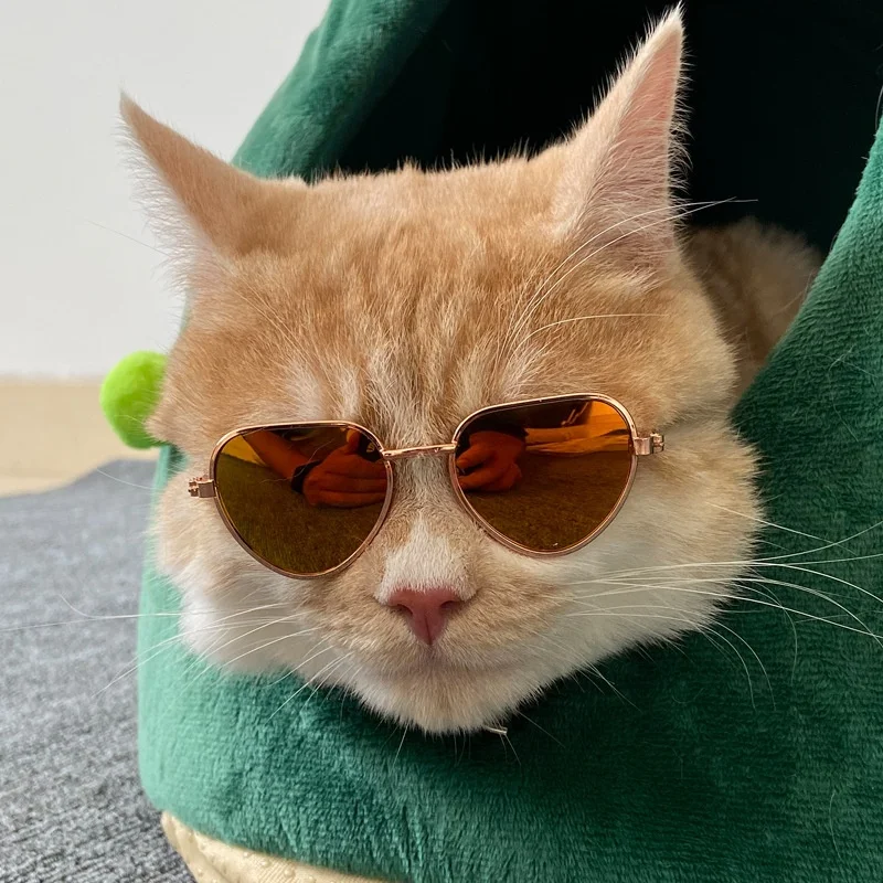 Non-Slip Cat & Small Dog Sunglasses Pet Accessories Puppy Kitty Cosplay Costume Cute Animal Eyewear Photo Props