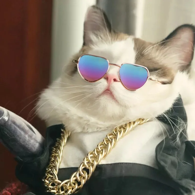 Non-Slip Cat & Small Dog Sunglasses Pet Accessories Puppy Kitty Cosplay Costume Cute Animal Eyewear Photo Props