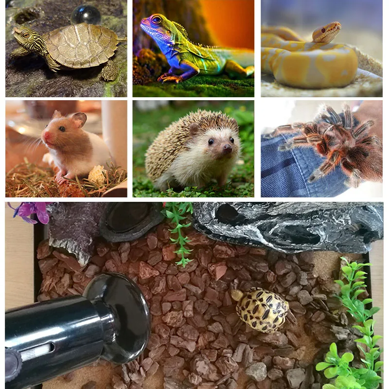 Reptile Lamp 25/50/75W UVA+UVB 3.0 Pet Heat Lamp Bulb Turtle Basking UV Light Bulbs Amphibians Lizards Temperature Controller