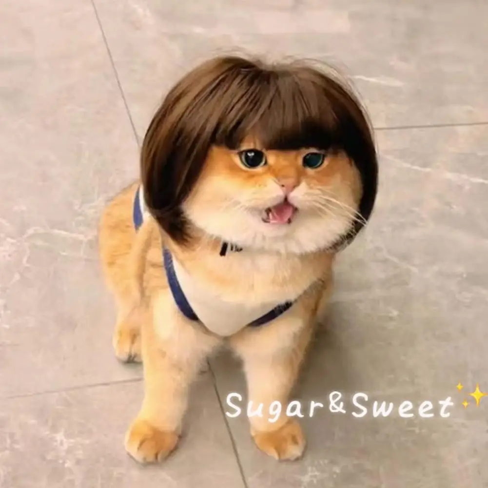Cat Wig Accessories Dog Headdress Funny Costume Puppy Cosplay Dress Up Funny Pet Wig Cosplay Costume for Cats Dogs 2026 New