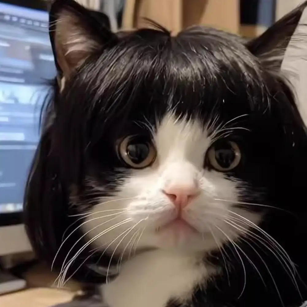 Cat Wig Accessories Dog Headdress Funny Costume Puppy Cosplay Dress Up Funny Pet Wig Cosplay Costume for Cats Dogs 2026 New