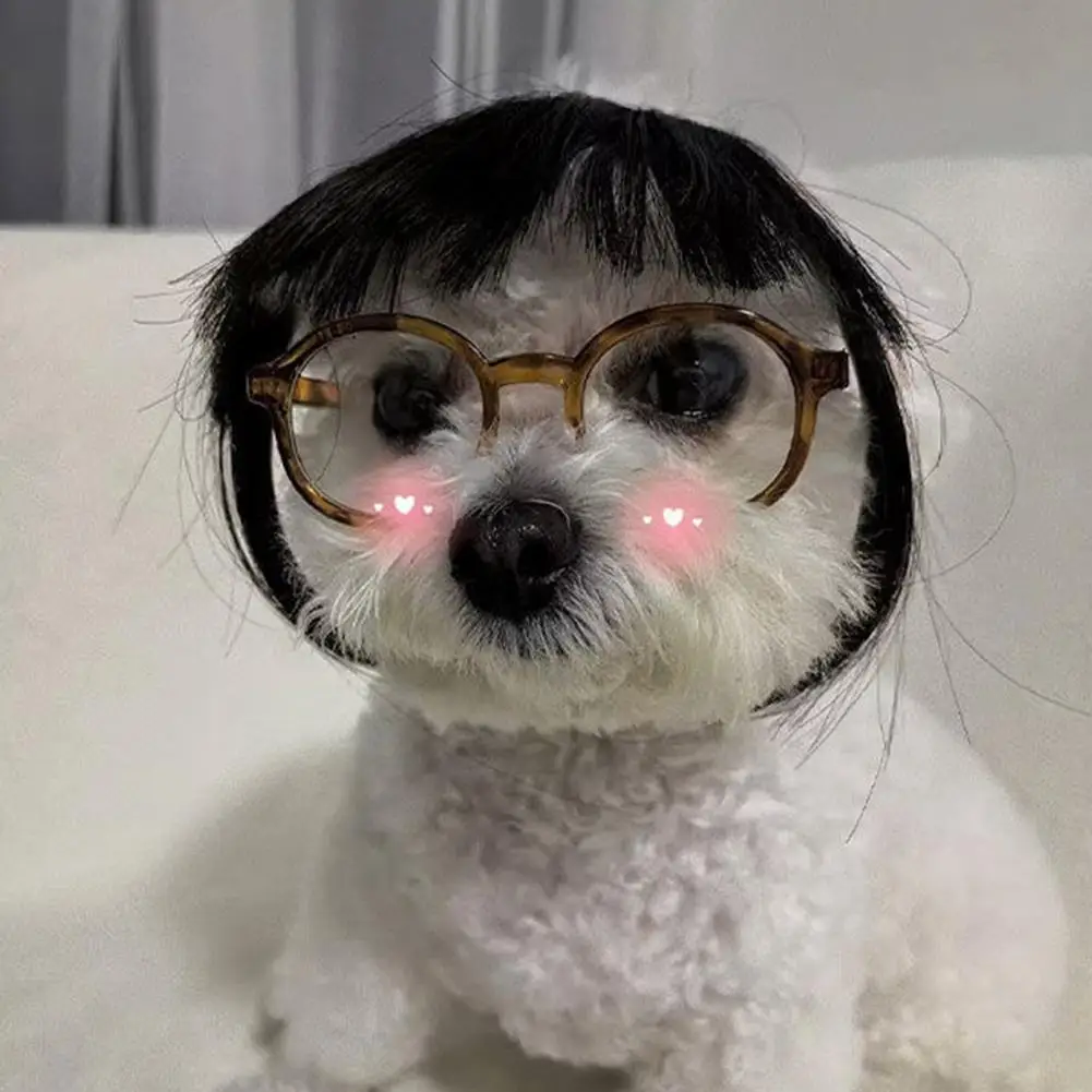 Cat Wig Accessories Dog Headdress Funny Costume Puppy Cosplay Dress Up Funny Pet Wig Cosplay Costume for Cats Dogs 2026 New