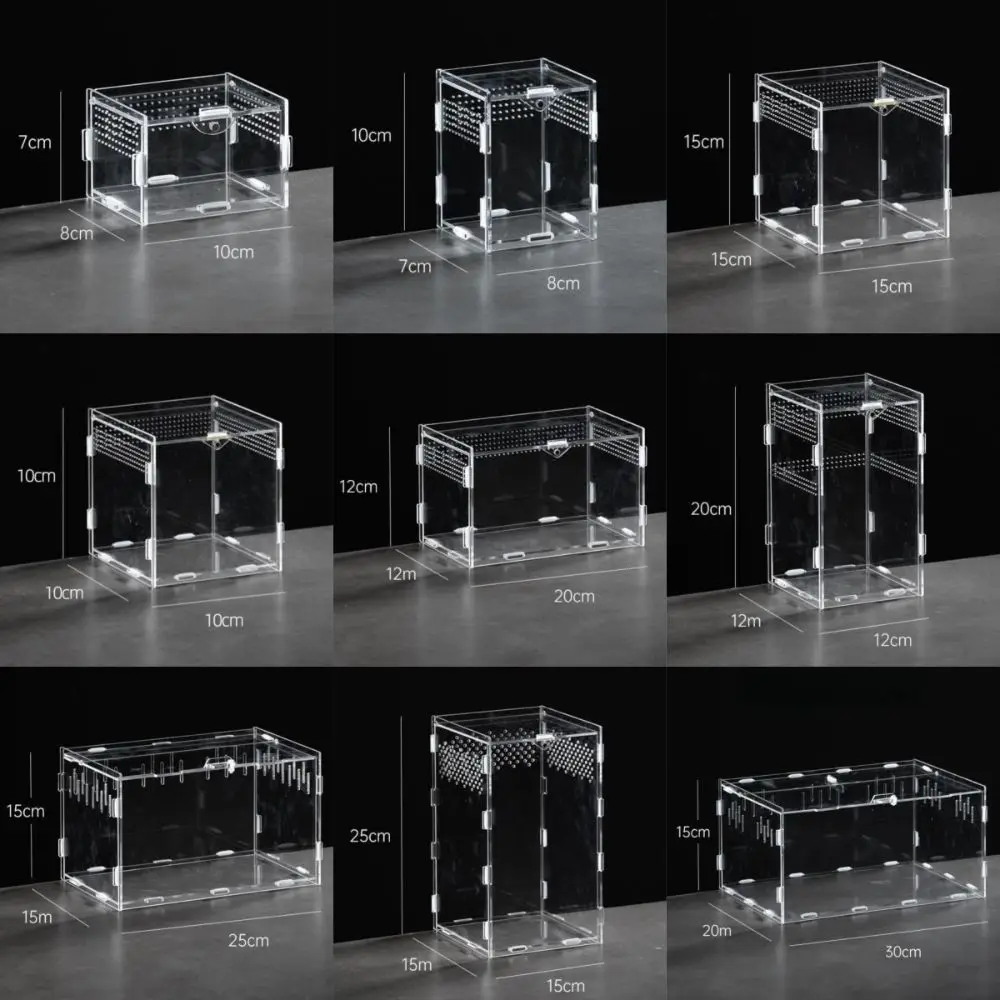 New Acrylic Reptile Habitat Anti-Escape Clear Spider Feeding Case Multiple Size Arboreal Small Pet Cage for Chameleon Clear