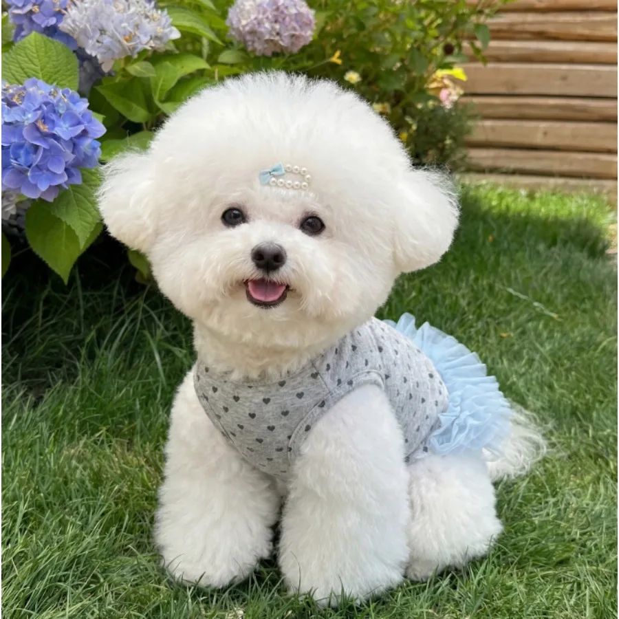 1pc Cute heart-shaped printed dog chiffon pet dog dress, gray with leaf ring pet harness dress for Small Dogs
