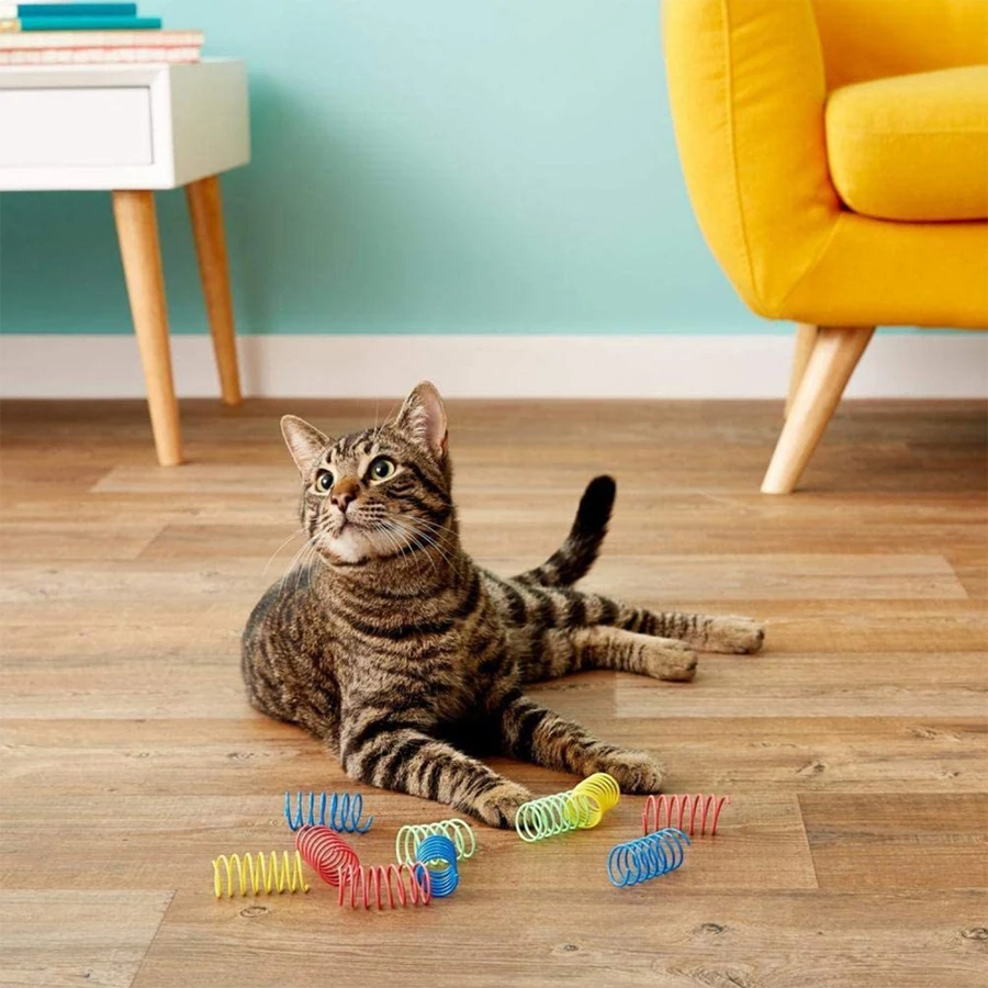4Pcs Colorful Cat Spring Toys, Bouncing Toy for Indoor Cats, Kitten Interactive Play, Fun for Cats to Chase
