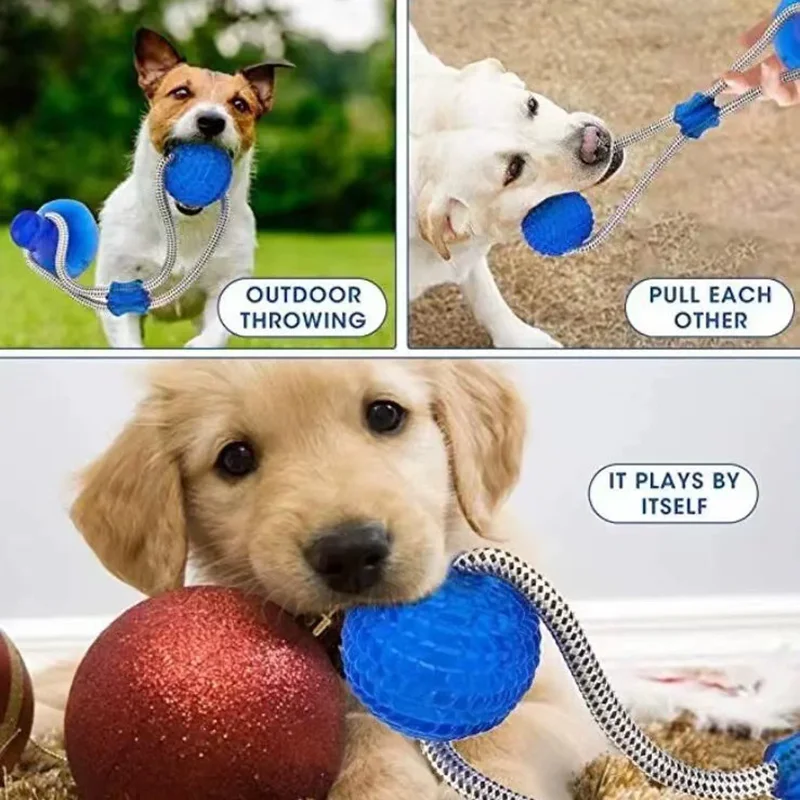 Rubber Suction Cup Dog Ball Pull Rope Interactive Chew Molar Toy Bite Resistant Teeth Clean Pet Play Training Relieve Boredom
