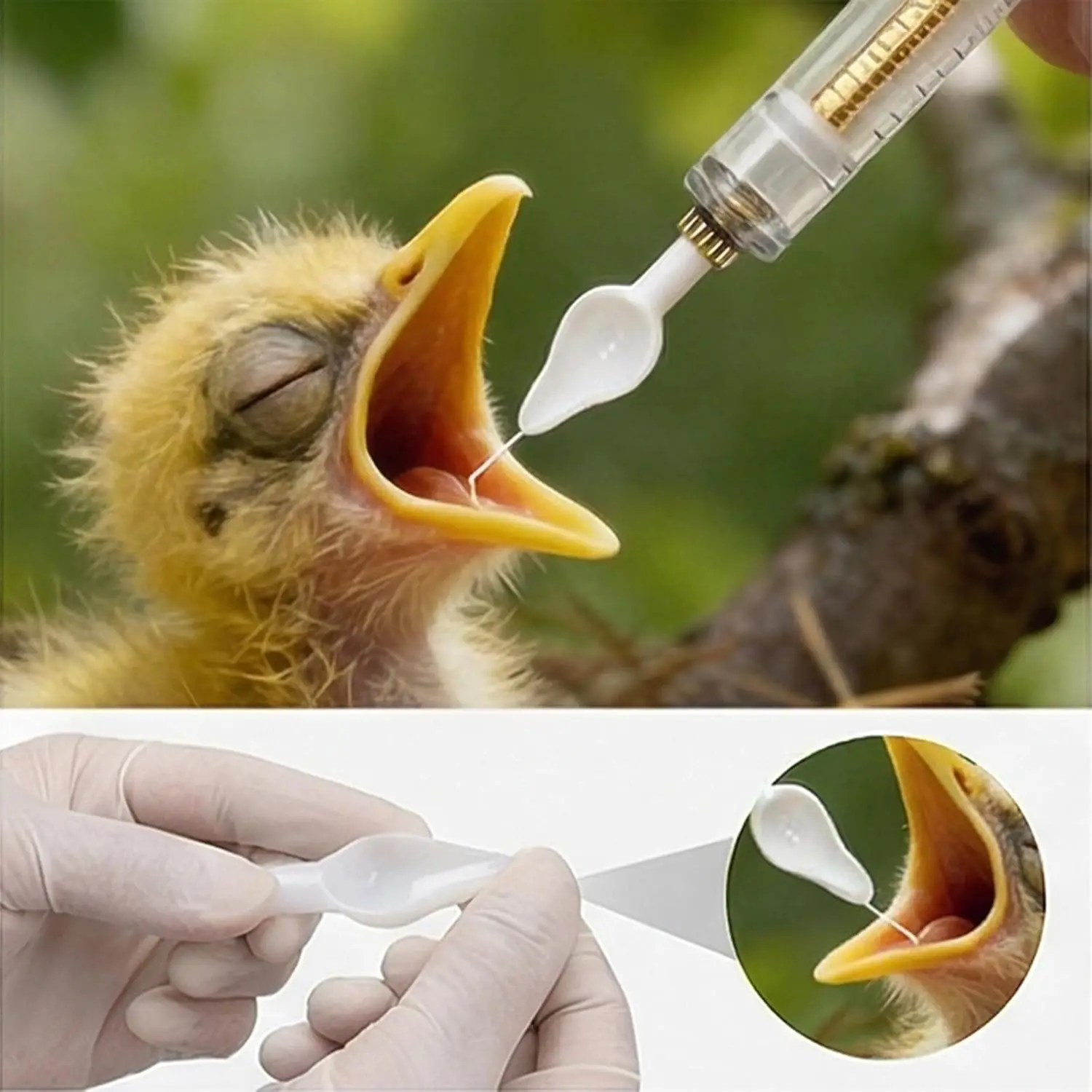 Hanging Bird Feeder Outdoor Garden Wild Bird Food Holder Plastic Bird Feeding Spoon with Hook Easy Clean for Yard Balcony Patio