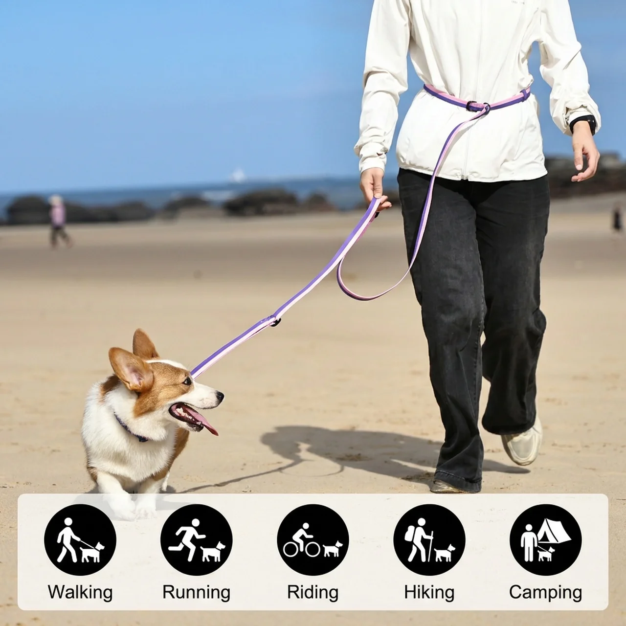 Hands-Free Dog Leash with Collar, Reflective Nylon Adjustable Training Lead for Small Dogs, 3 Colors S/M/L