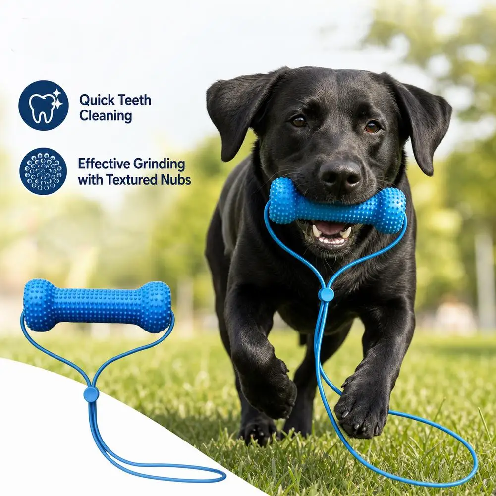 Dual-Action Canine Dental Prop, Dog Dental Chew Toy for Teeth Cleaning Brushing, Reusable Dental Chews for Dogs