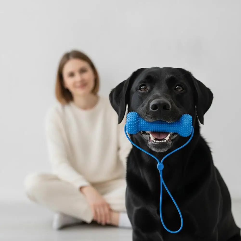 Dual-Action Canine Dental Prop, Dog Dental Chew Toy for Teeth Cleaning Brushing, Reusable Dental Chews for Dogs