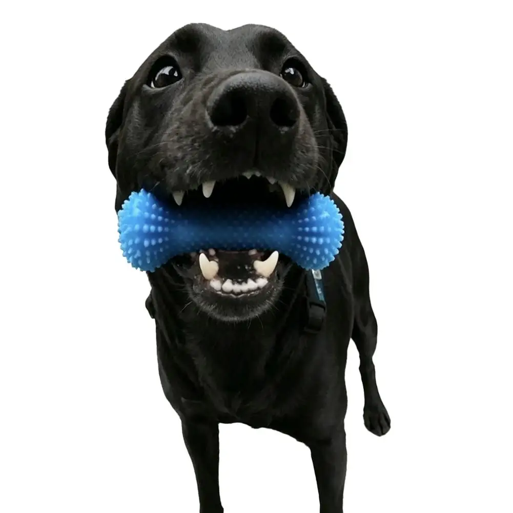 Dual-Action Canine Dental Prop, Dog Dental Chew Toy for Teeth Cleaning Brushing, Reusable Dental Chews for Dogs