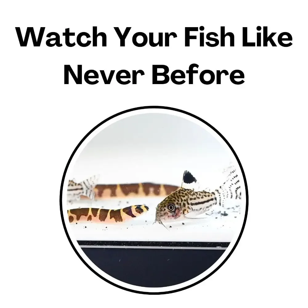 1Pcs Multifunctional Two Holes Underground Aquarium Tunnel Curved Gravel Substrate Cave Fish Hiding Shelter Reptile Hideout Orna
