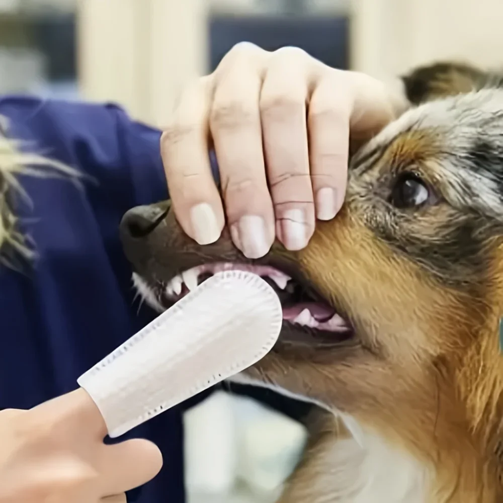 100Pcs Pet Teeth Cleaning Finger Wipes Pet Dog Teeth Brushing Wipes For Cleaning Bad Breath Remover Wipes For Dogs Supplies