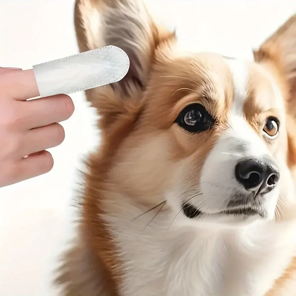 100Pcs Pet Teeth Cleaning Finger Wipes Pet Dog Teeth Brushing Wipes For Cleaning Bad Breath Remover Wipes For Dogs Supplies