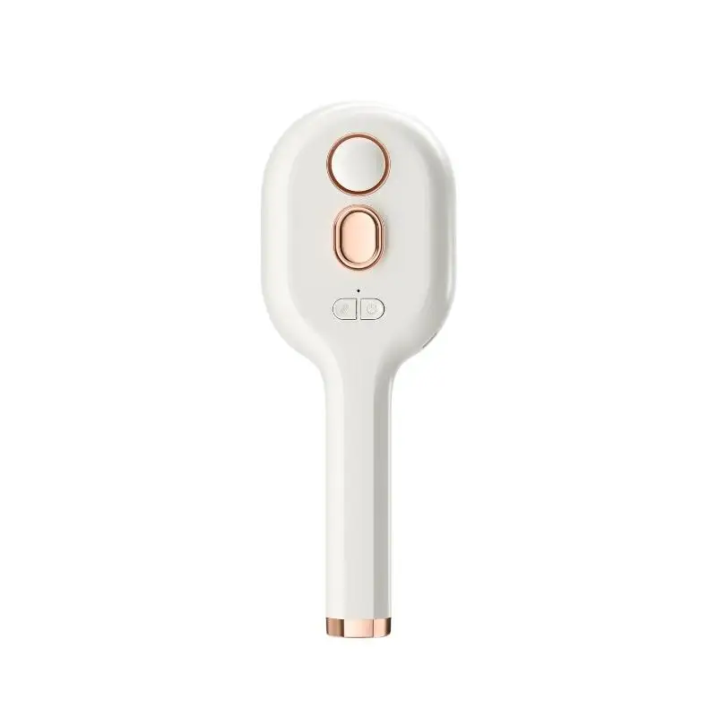 Electric Steam Hair Straightening Brush Water Spray Wet Dry Use USB-C Fast Charging Portable Hair Tool for Salon Travel Use