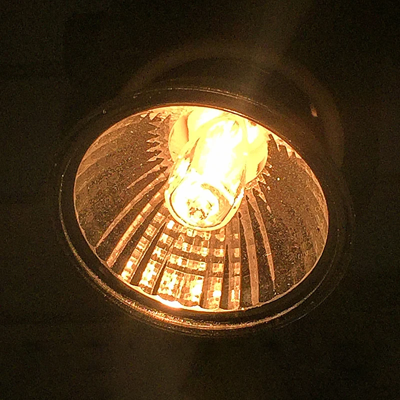 Reptile Lamp 25/50/75W UVA+UVB 3.0 Pet Heat Lamp Bulb Turtle Basking UV Light Bulbs Amphibians Lizards Temperature Controlle