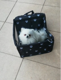 Pet Dog Car Carrier Seat Bag Waterproof Basket Folding Hammock Pet Carriers Bag For Small Cat Dogs Safety Travelling Mesh