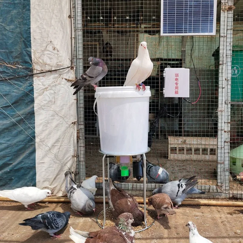 Feeder Automatic Chicken Feeder Pellet Funnel Pigeon Chicken Duck Carrier Pigeon Automatic Chicken Feeder Pigeon 50-500g/Minute