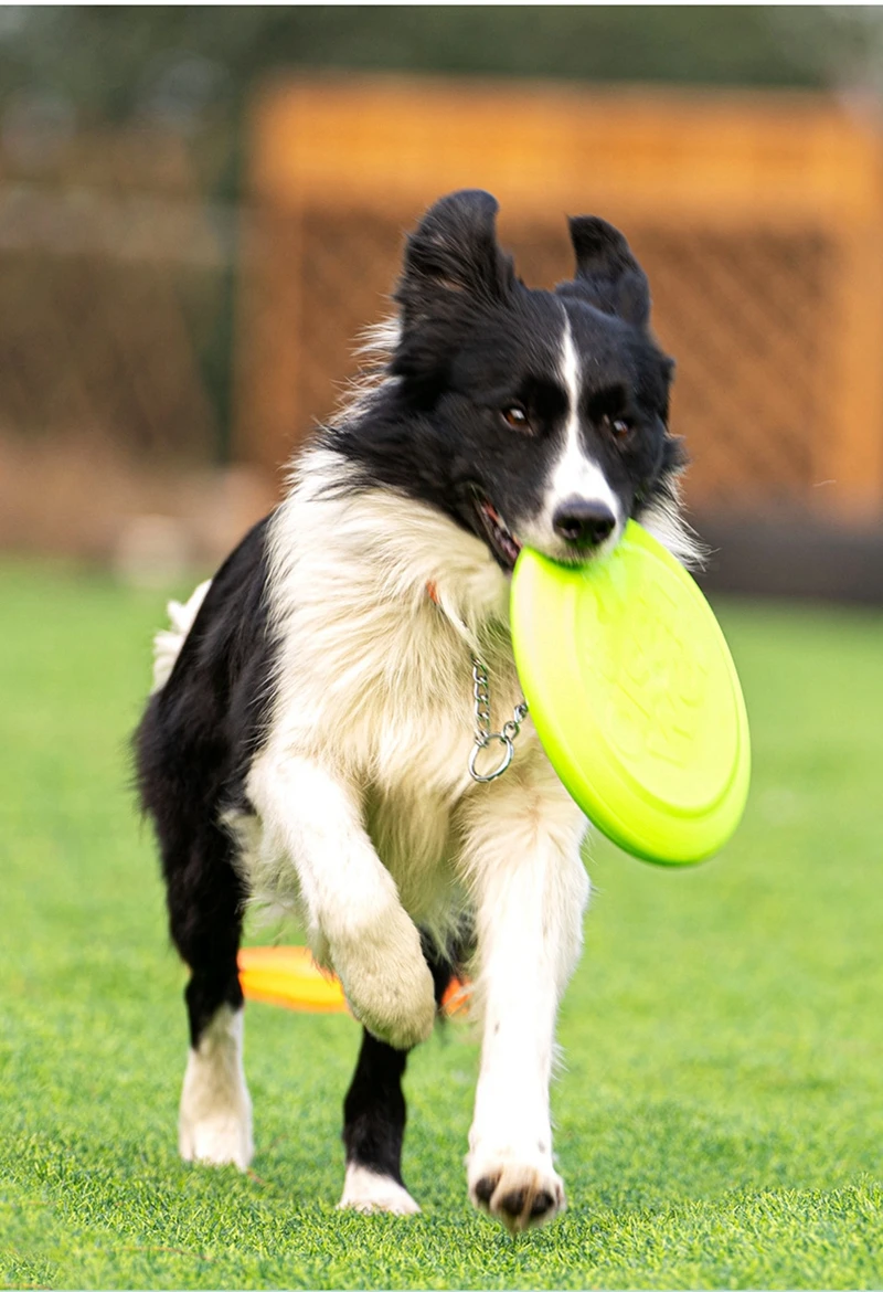 Dog Flying Disc Silicone Game Flying Discs Non-Slip Soft Anti-Chew Dog Toy Puppy Training Interactive Dog Supplies 15/19/23cm