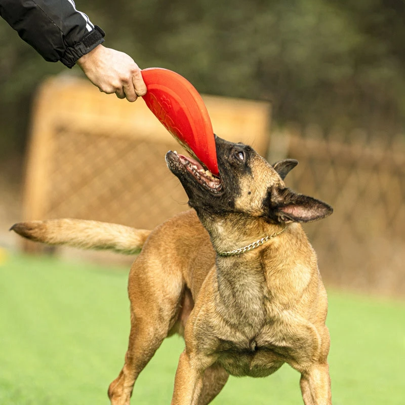 Dog Flying Disc Silicone Game Flying Discs Non-Slip Soft Anti-Chew Dog Toy Puppy Training Interactive Dog Supplies 15/19/23cm
