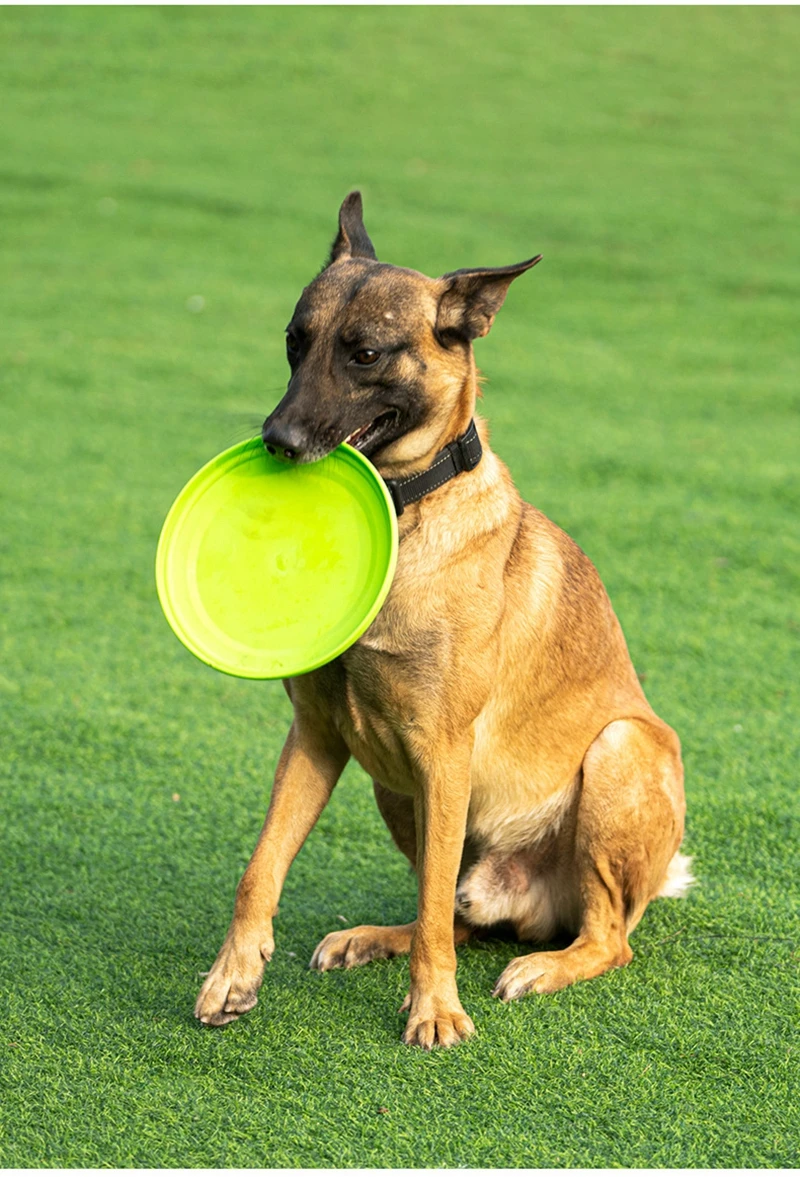 Dog Flying Disc Silicone Game Flying Discs Non-Slip Soft Anti-Chew Dog Toy Puppy Training Interactive Dog Supplies 15/19/23cm