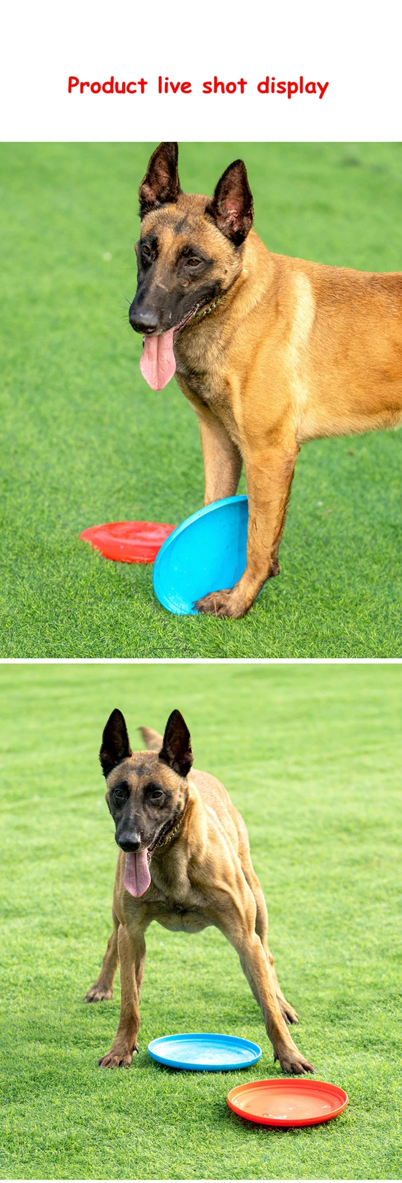 Dog Flying Disc Silicone Game Flying Discs Non-Slip Soft Anti-Chew Dog Toy Puppy Training Interactive Dog Supplies 15/19/23cm