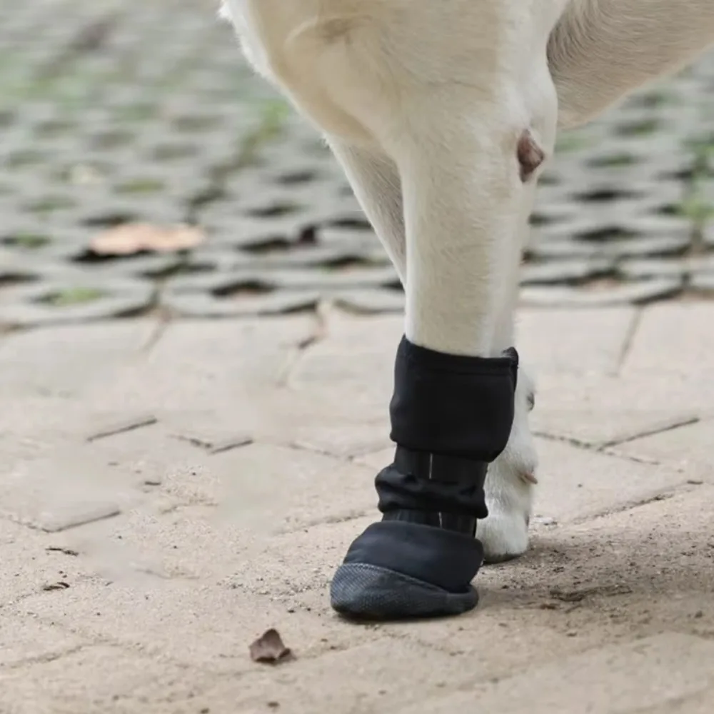 Dog Wound Recovery Boot Paws Protector Waterproof Dog Shoe for Post Surgical Recovery Healing Protections