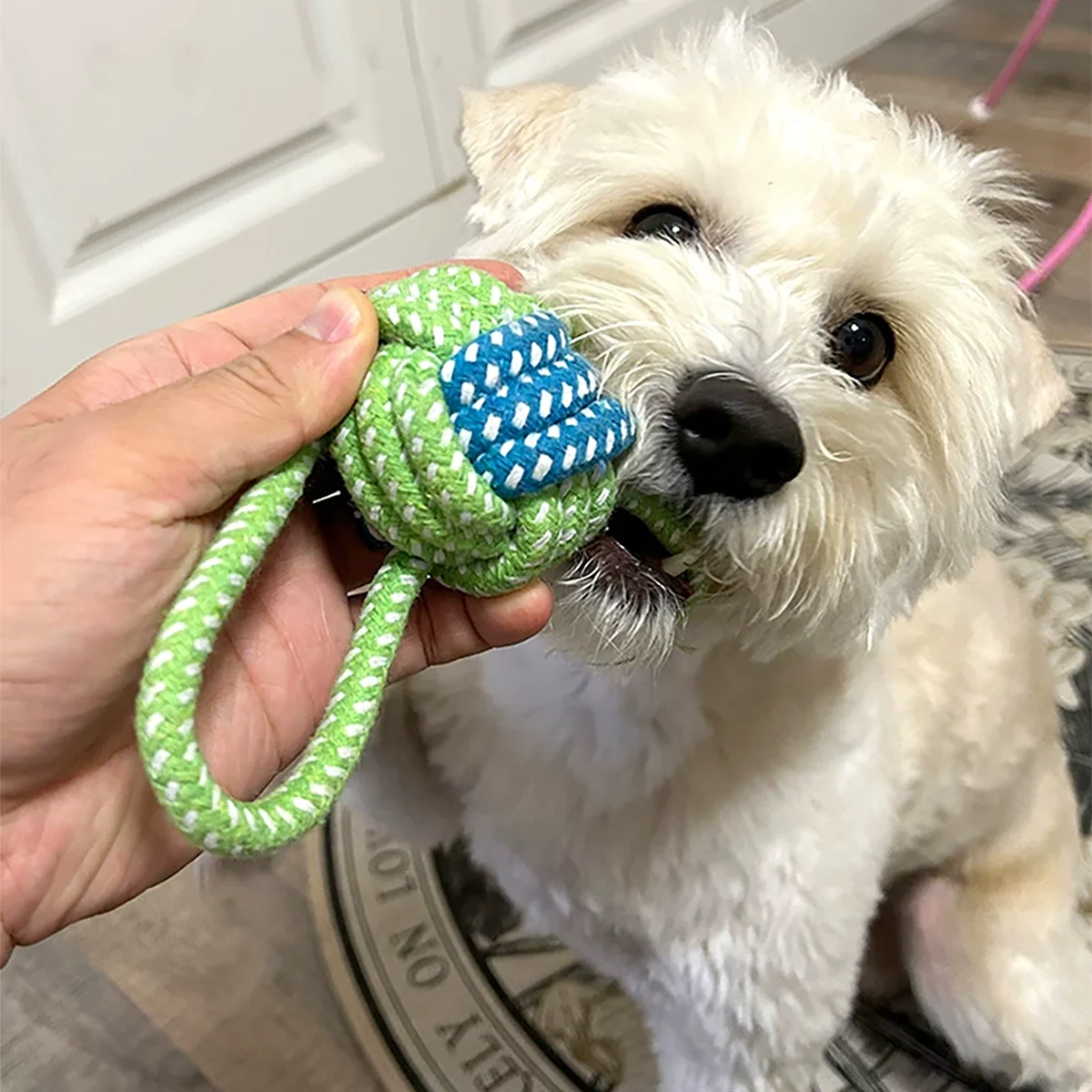 Heavy Duty Rope Toy for Power Chewers | Multi-Texture Tug-of-War & Dental Chew Dog Toy | Non-Slip Grip Indoor/Outdoor Use