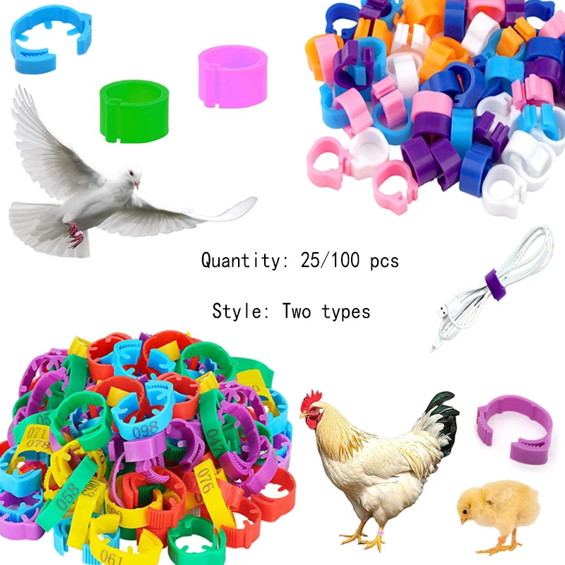 Poultry Leg Rings Chicken Foot Bands Adjustable Ratchet Clasp Snap Marking Tags for Duck Goose Pigeon Farm Feed Tool 25/100pcs