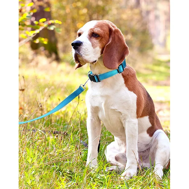 1PC Reflective Dog Collar with Buckle Adjustable Safety Nylon Collars for Small Medium Large Dogs
