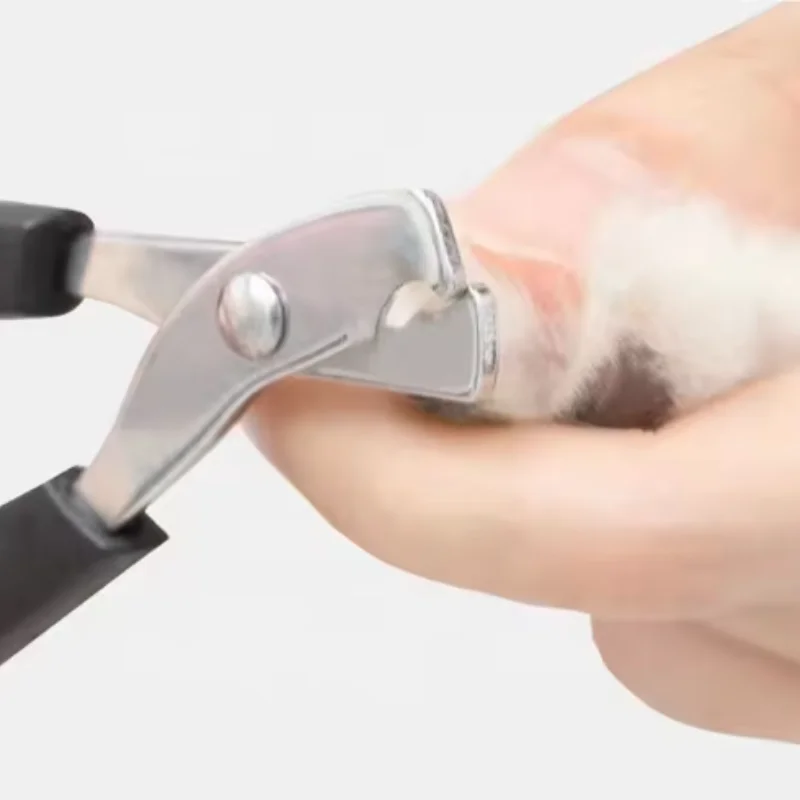 Pet Nail Dog Nail Clippers Scissors Puppy Dogs Cats Care Nails Claws Animal Trimmer Supplies Products Home For Stuff Garden