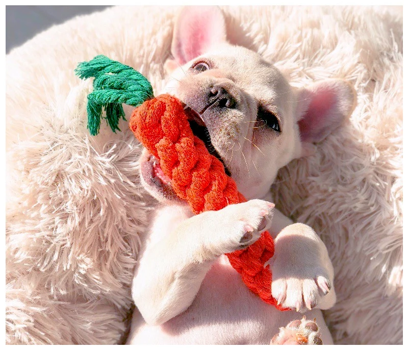 1Pcs Carrot Dog Bite Rope Pet Dog Toys Safe Durable Braided Bite Dog Chew Toys Resistant Puppy Molar Cleaning Teeth Cotton Rope
