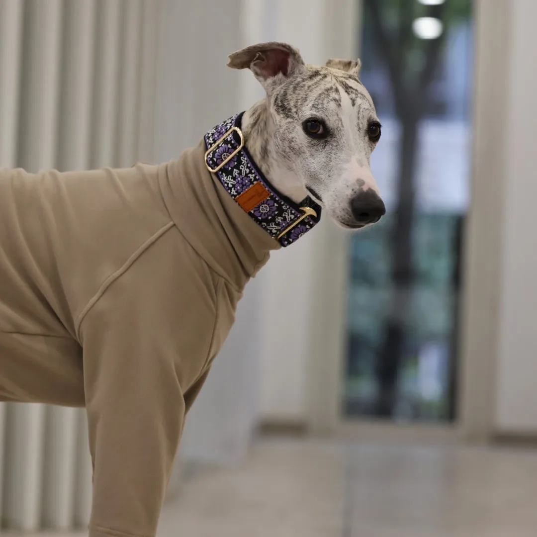 Martingale Dog Collar Hens / Greyhound Collar/ Iggy Collar/ Lurcher Collar/ Whippet Collar/ Galgo Collar