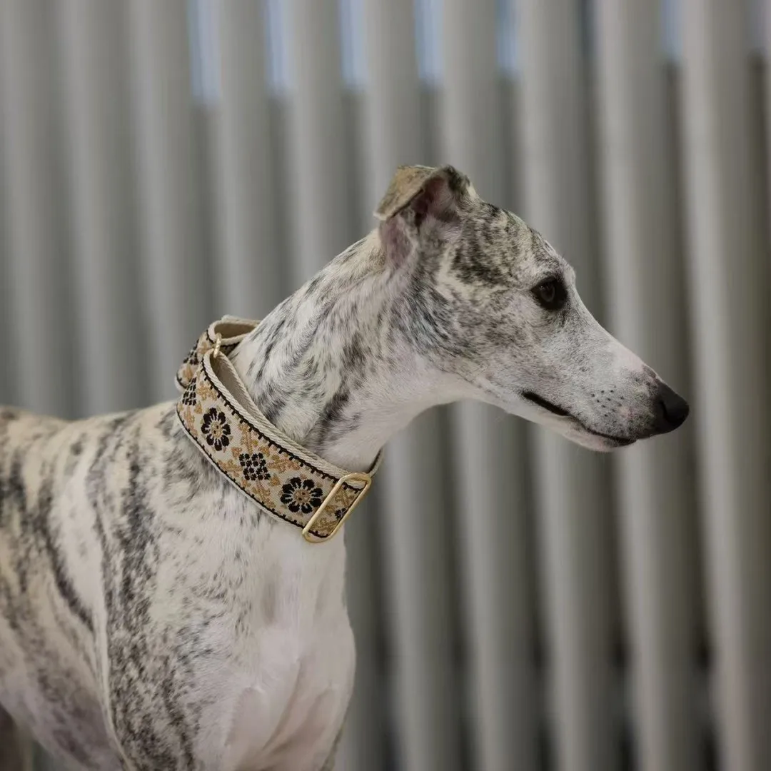 Martingale Dog Collar Hens / Greyhound Collar/ Iggy Collar/ Lurcher Collar/ Whippet Collar/ Galgo Collar