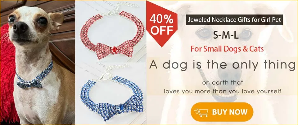 Luxury Designer Dog Collar Bling Diamond Pet Chain for Small Medium Large Dogs Cat Puppy Gold Necklace Jewelry Dog Accessories