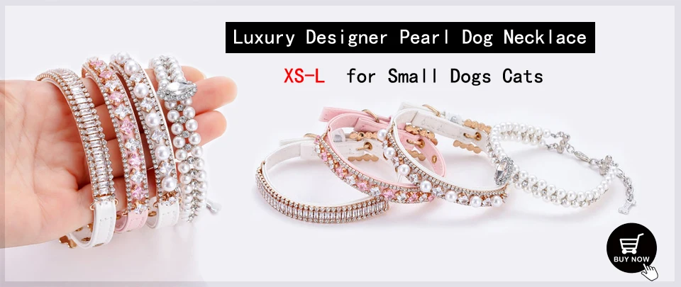 Luxury Designer Dog Collar Bling Diamond Pet Chain for Small Medium Large Dogs Cat Puppy Gold Necklace Jewelry Dog Accessories