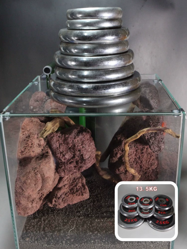 4Pcs Stainless Steel Aquarium Fish Tank Glass Cover Support Non-Slip Holders Aquarium Accessories Universal Lid Clips 5-19mm