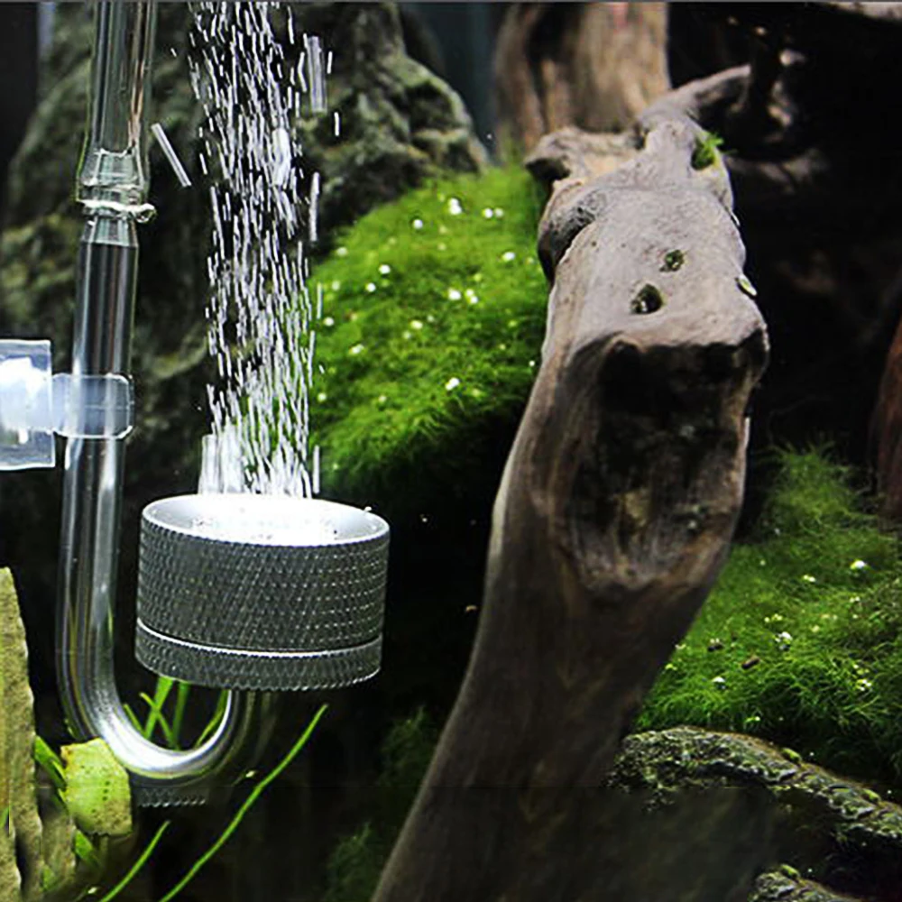 CO2 Generato With Suction Cup Fish Tank Bubble Atomizer Aquarium Accessoires For Aquatic Plant Growth Aquarium CO2 Diffuser