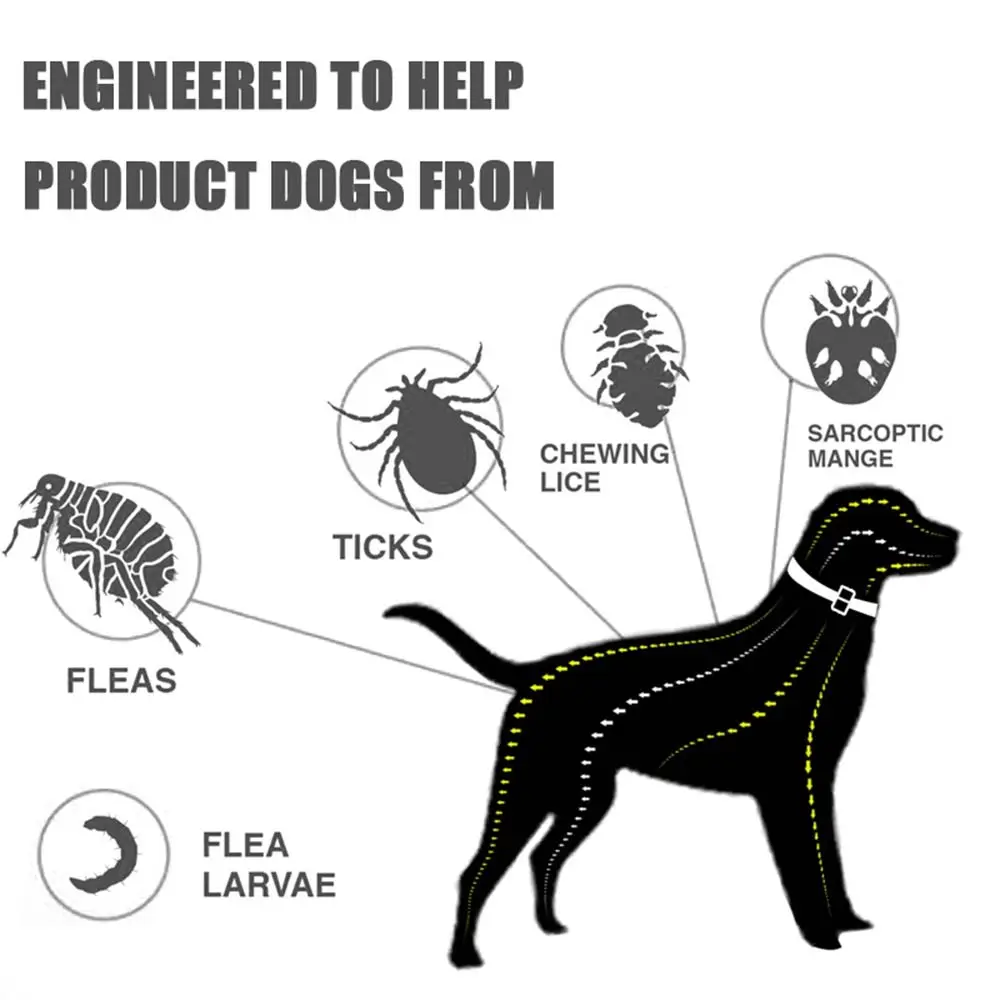 Flea And Tick Collar Adjustable Dogs Cats Necklace 8 Month Protection Anti-mosquitoes Insect Repellent Pet Supplies