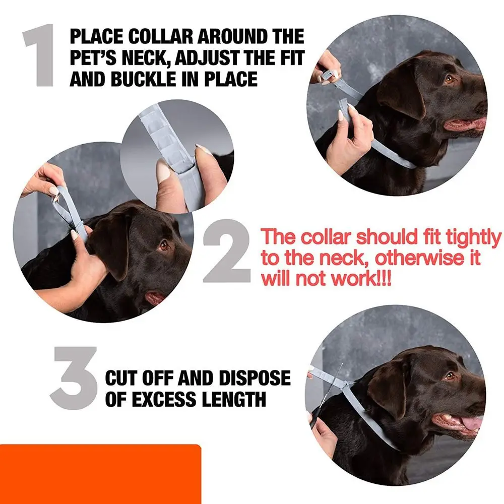 Flea And Tick Collar Adjustable Dogs Cats Necklace 8 Month Protection Anti-mosquitoes Insect Repellent Pet Supplies